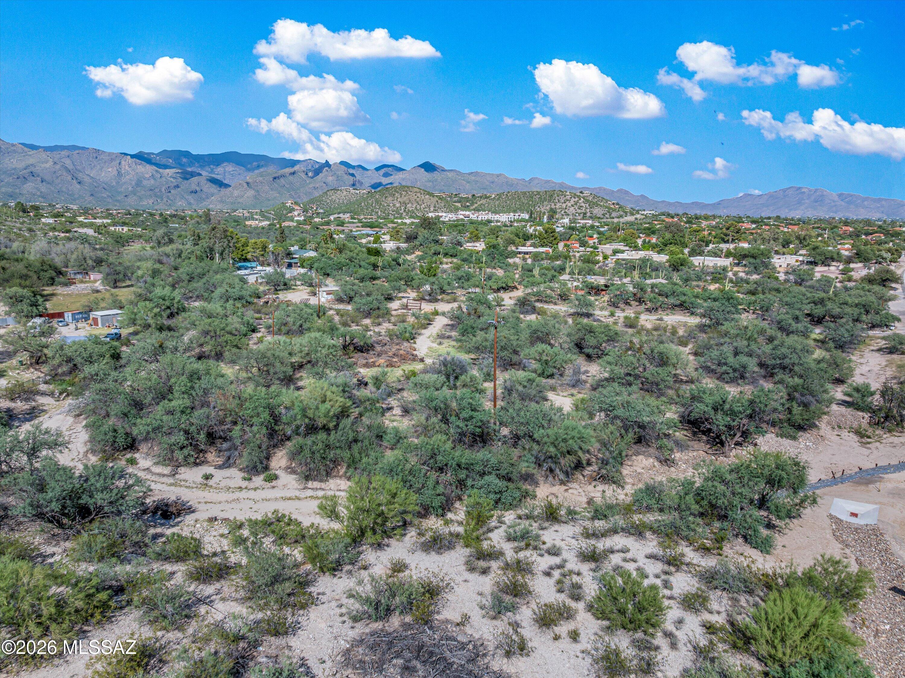 6981 East River Road Tucson, AZ 85750 - Photo 3 of 6 Lush Landscape