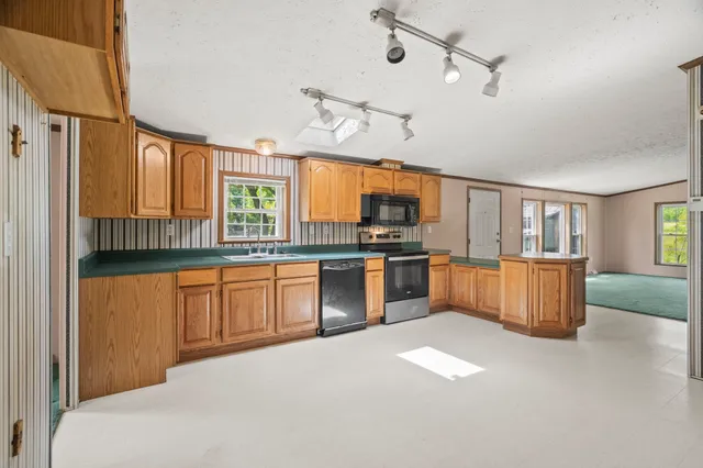 a backyard of a house with plants and large tree