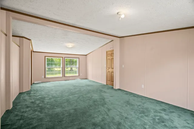 a view of a yard with plants