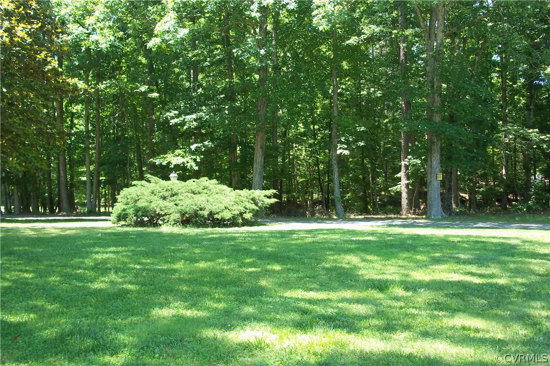 19613 Genito Road Moseley, VA 23120 - Photo 18 of 22 a backyard of a house with trees and plants