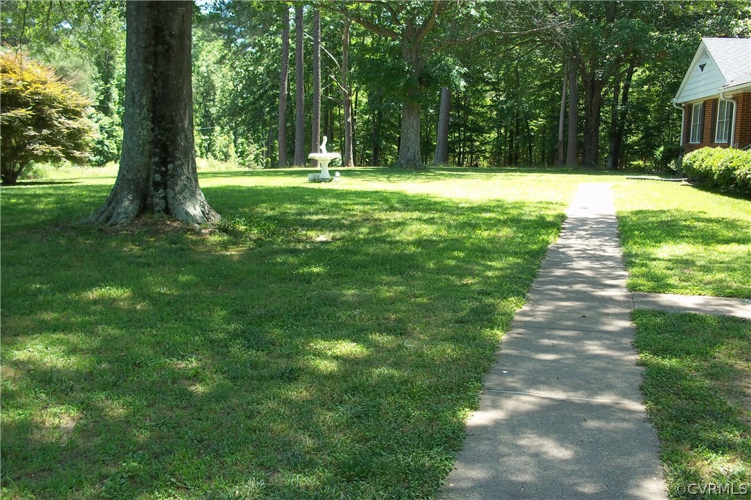 19613 Genito Road Moseley, VA 23120 - Photo 19 of 22 a view of a yard with plants and a trees