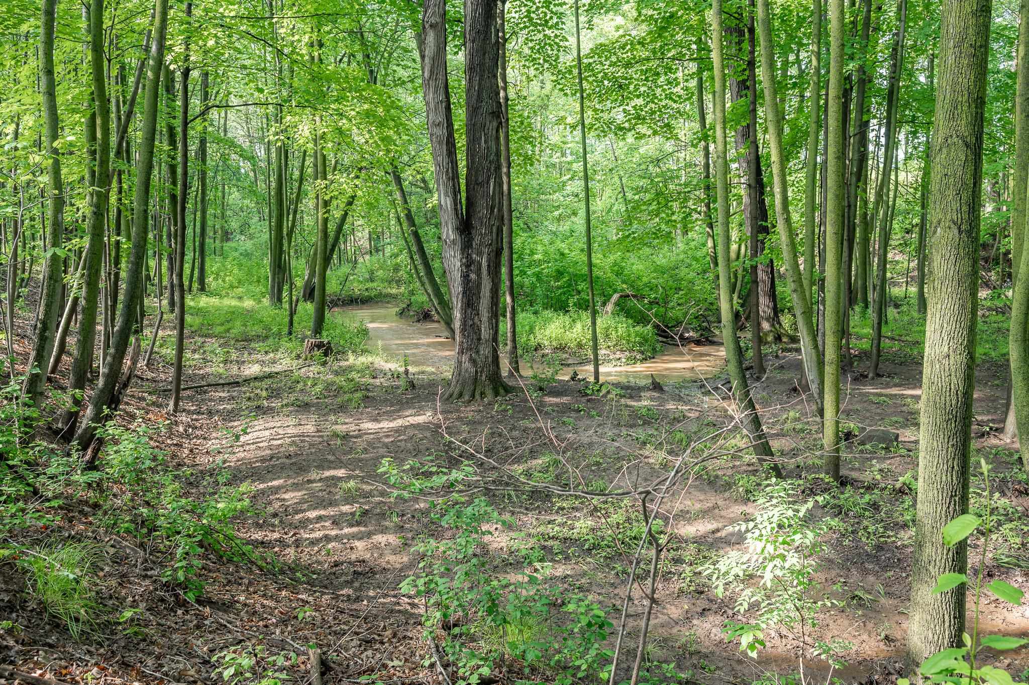 2969 Apple Ridge Court Green Bay, WI 54311 - Photo 9 of 12