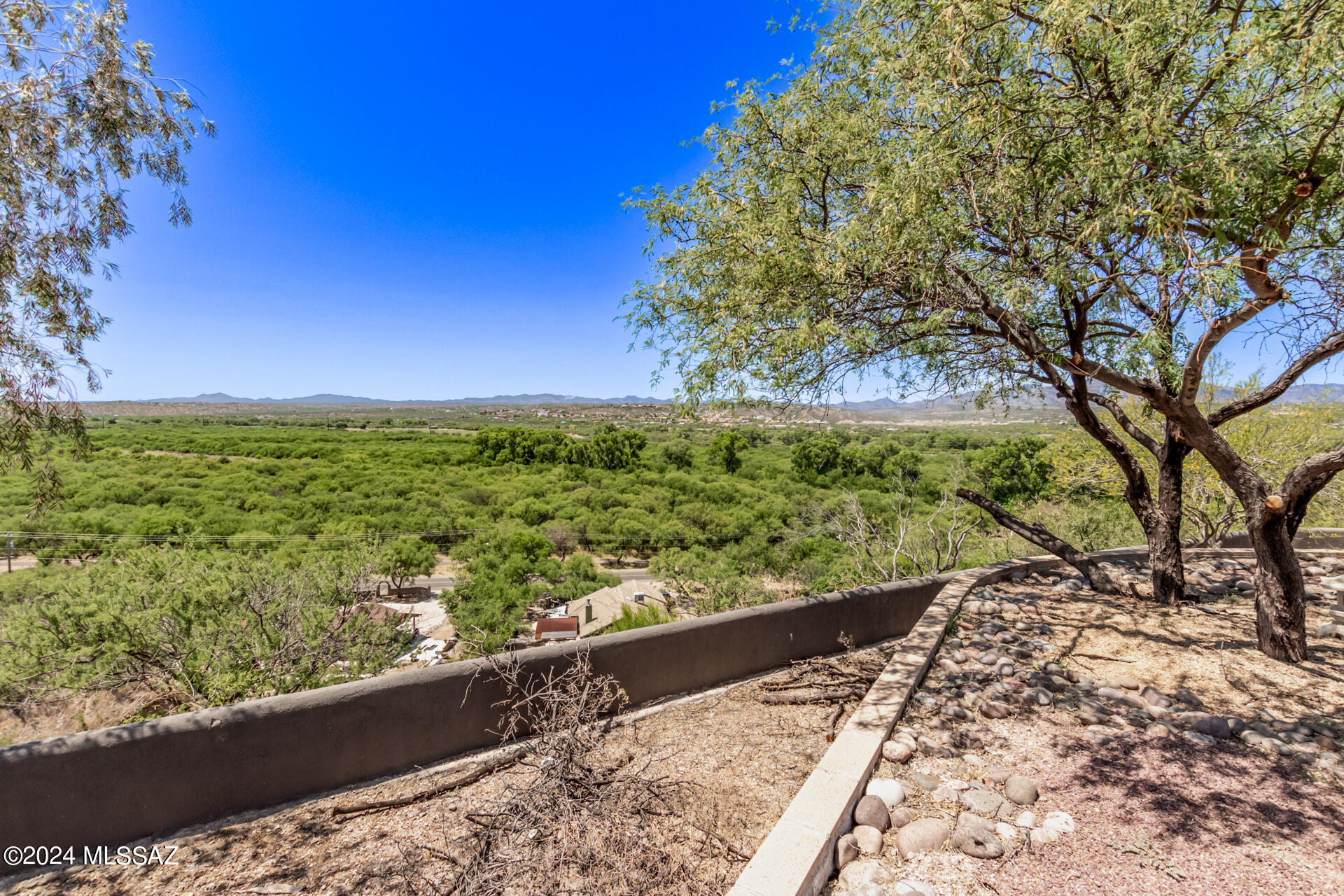 1242 Dodo Court Rio Rico, AZ 85648 - Photo 42 of 46 a view of a yard with a tree