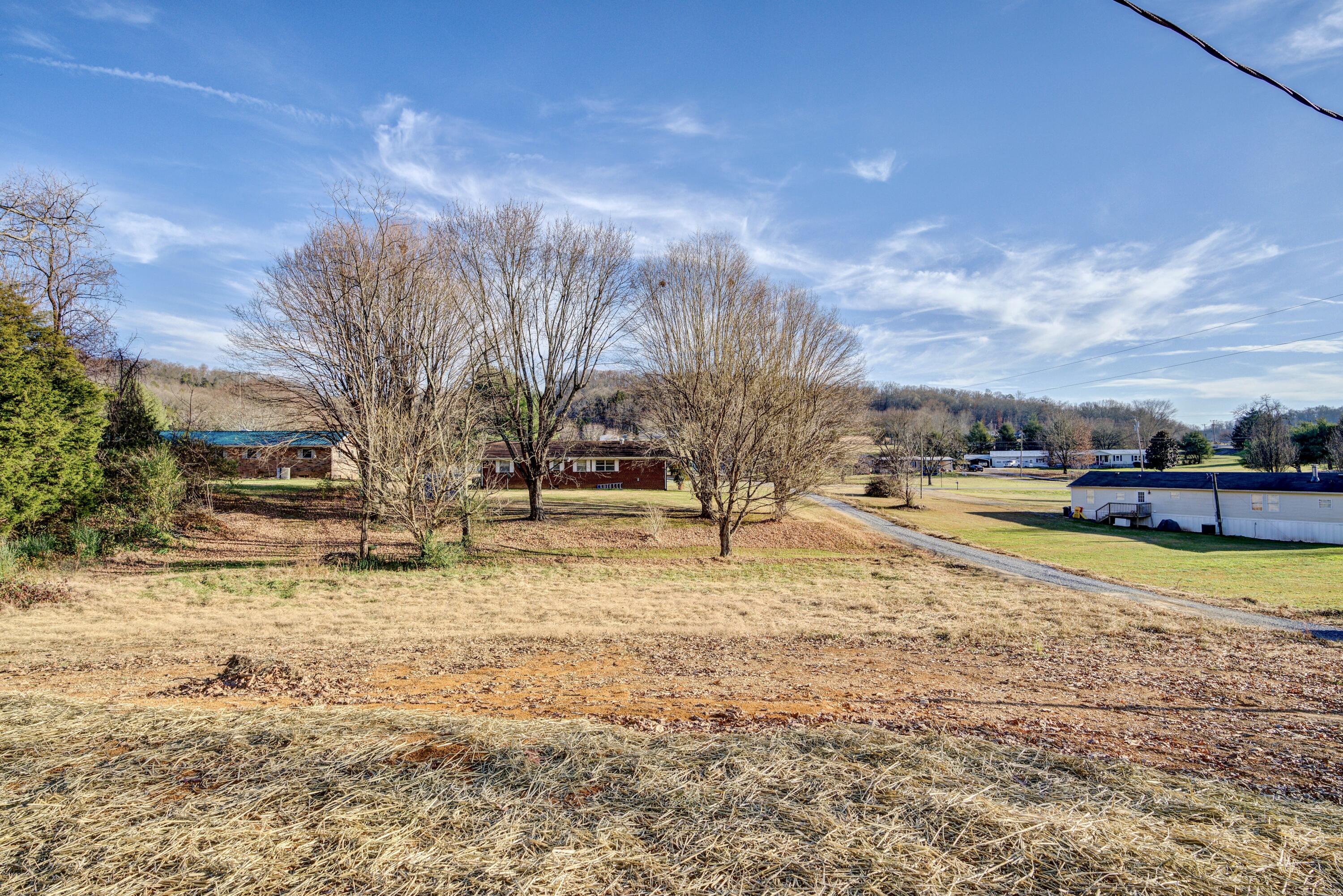 73 Harold Cemetery Road Greeneville, TN 37745 - Photo 3 of 41 Yard
