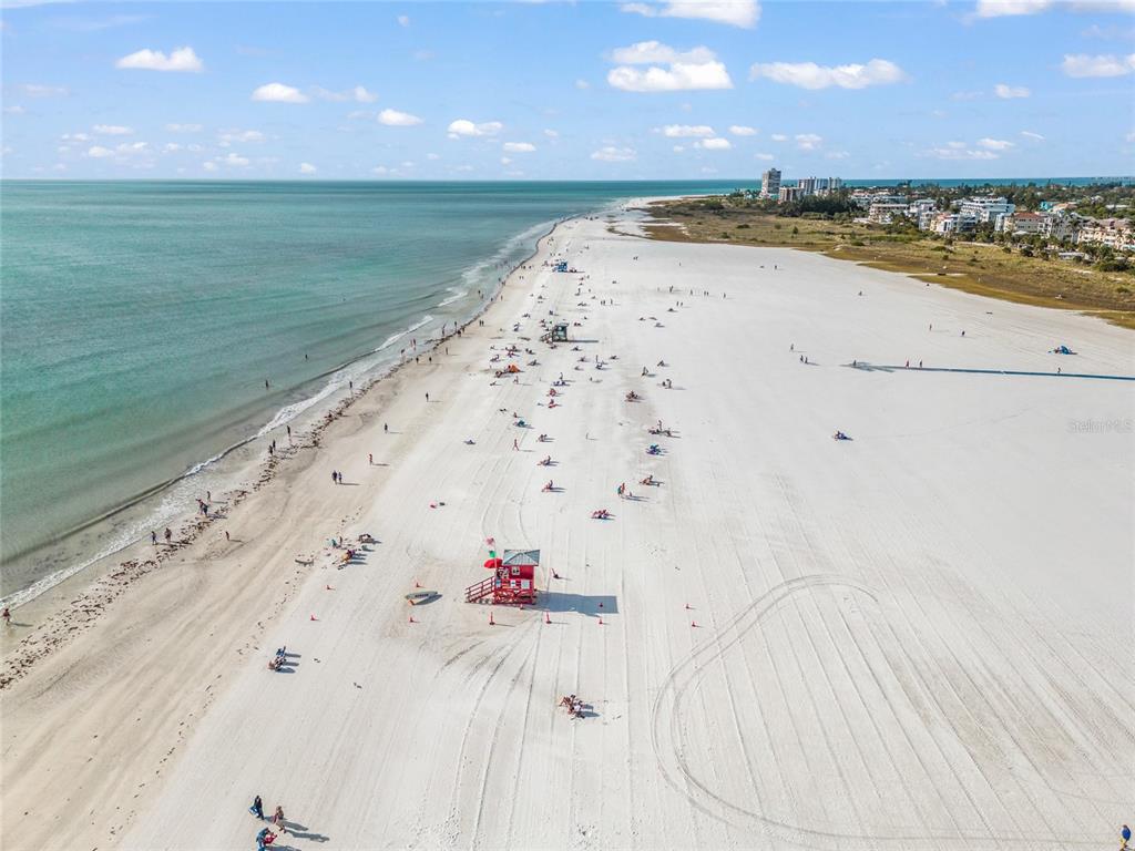 2427 Tulip Street Sarasota, FL 34239 - Photo 28 of 39