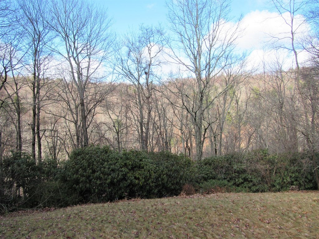 227 Newt's Hill Road Fancy Gap, VA 24328 - Photo 3 of 33 Gallery Image 3