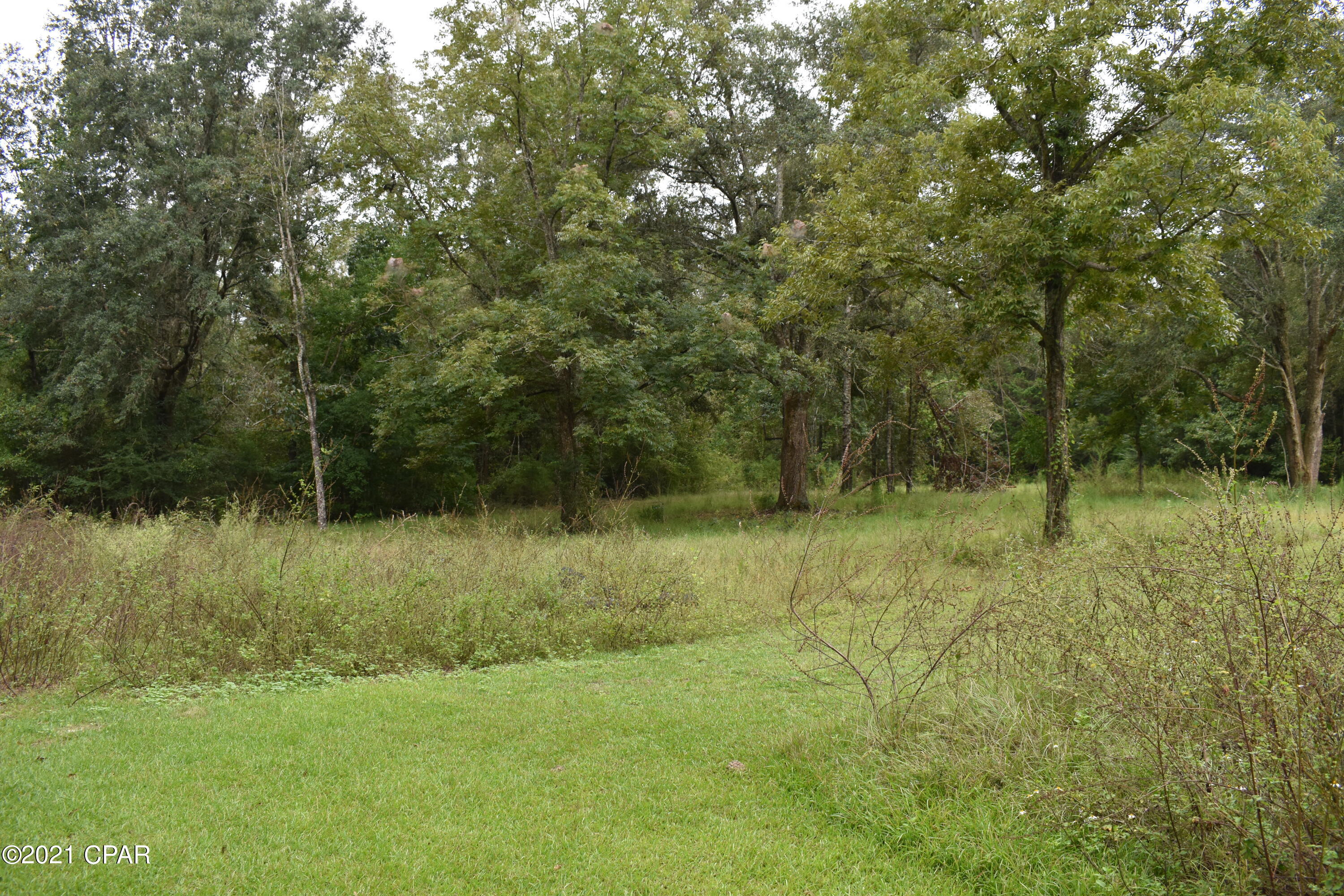 1281 Tharpe Road Chipley, FL 32428 - Photo 36 of 69