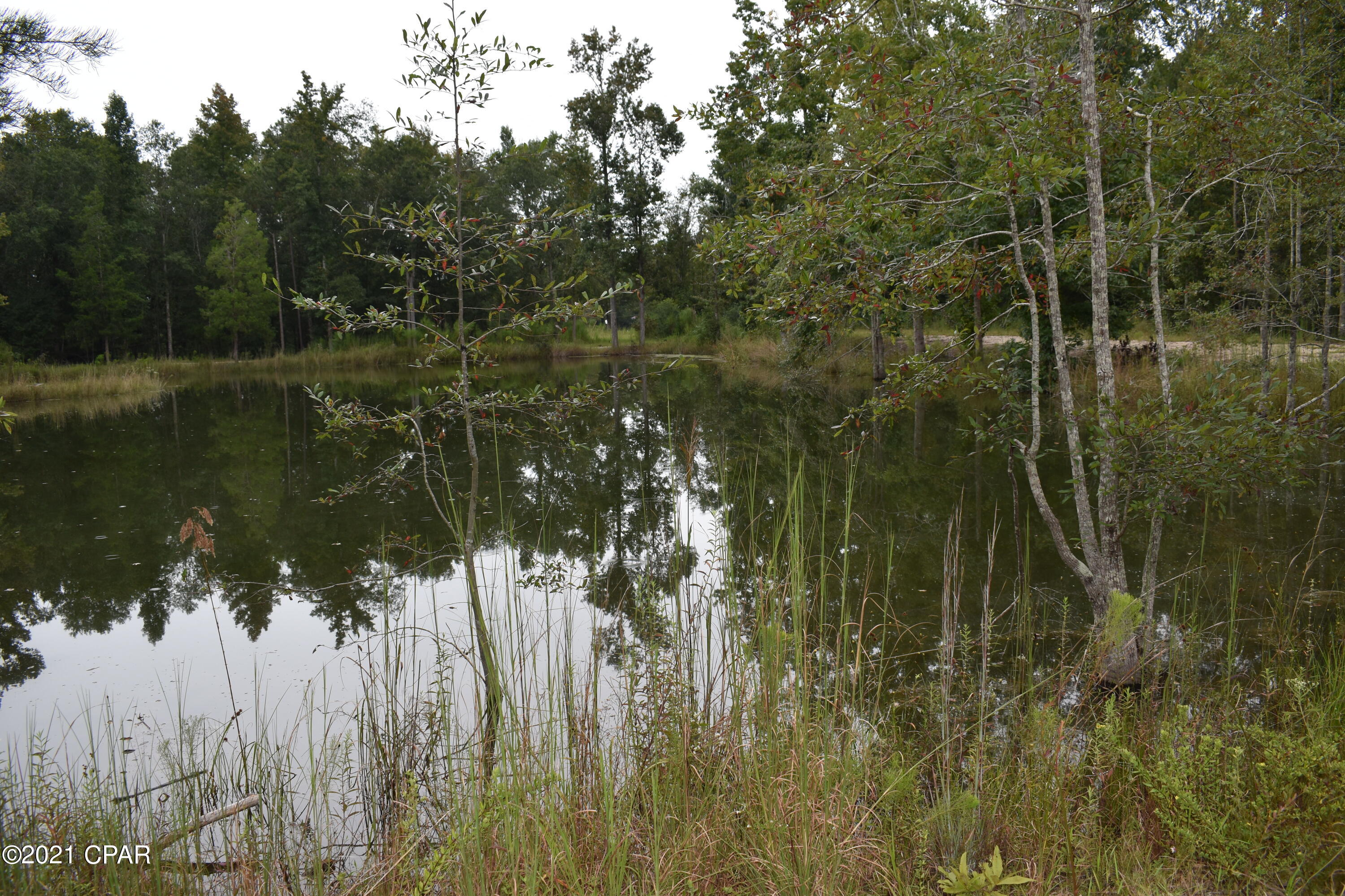1281 Tharpe Road Chipley, FL 32428 - Photo 44 of 69
