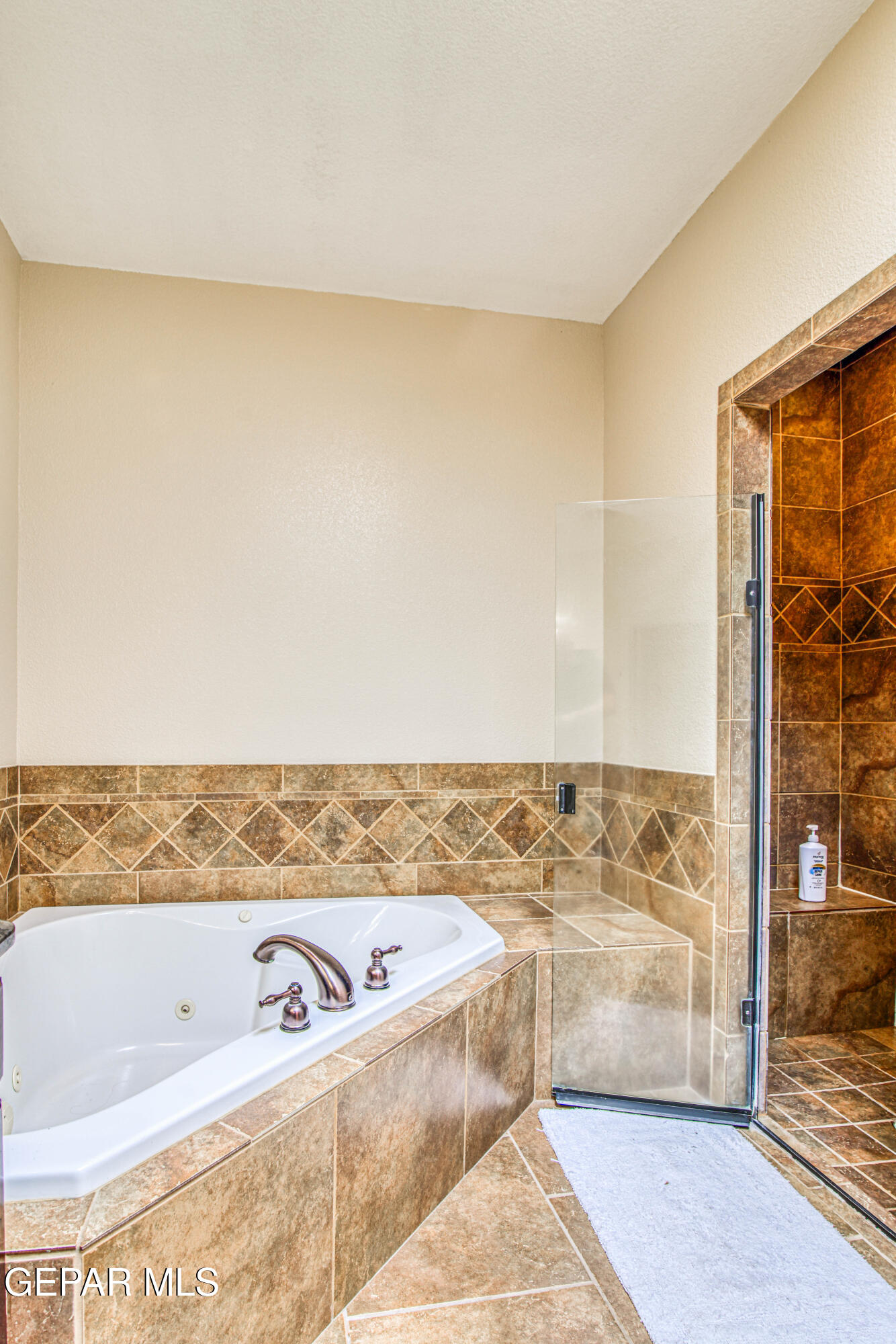 617 Wallace Road Anthony, NM 88021 - Photo 43 of 87 a view of bathroom with bathtub and shower