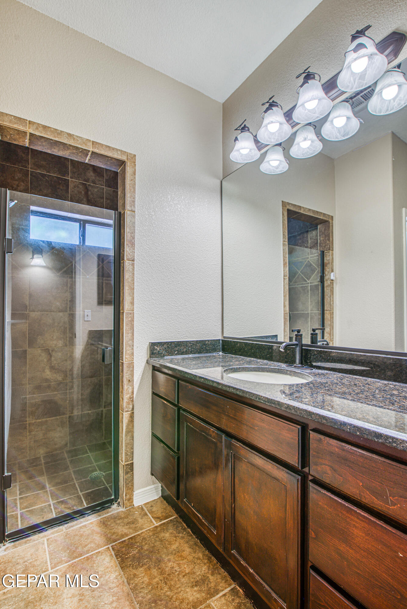 617 Wallace Road Anthony, NM 88021 - Photo 54 of 87 a bathroom with a granite countertop sink a large mirror and a shower