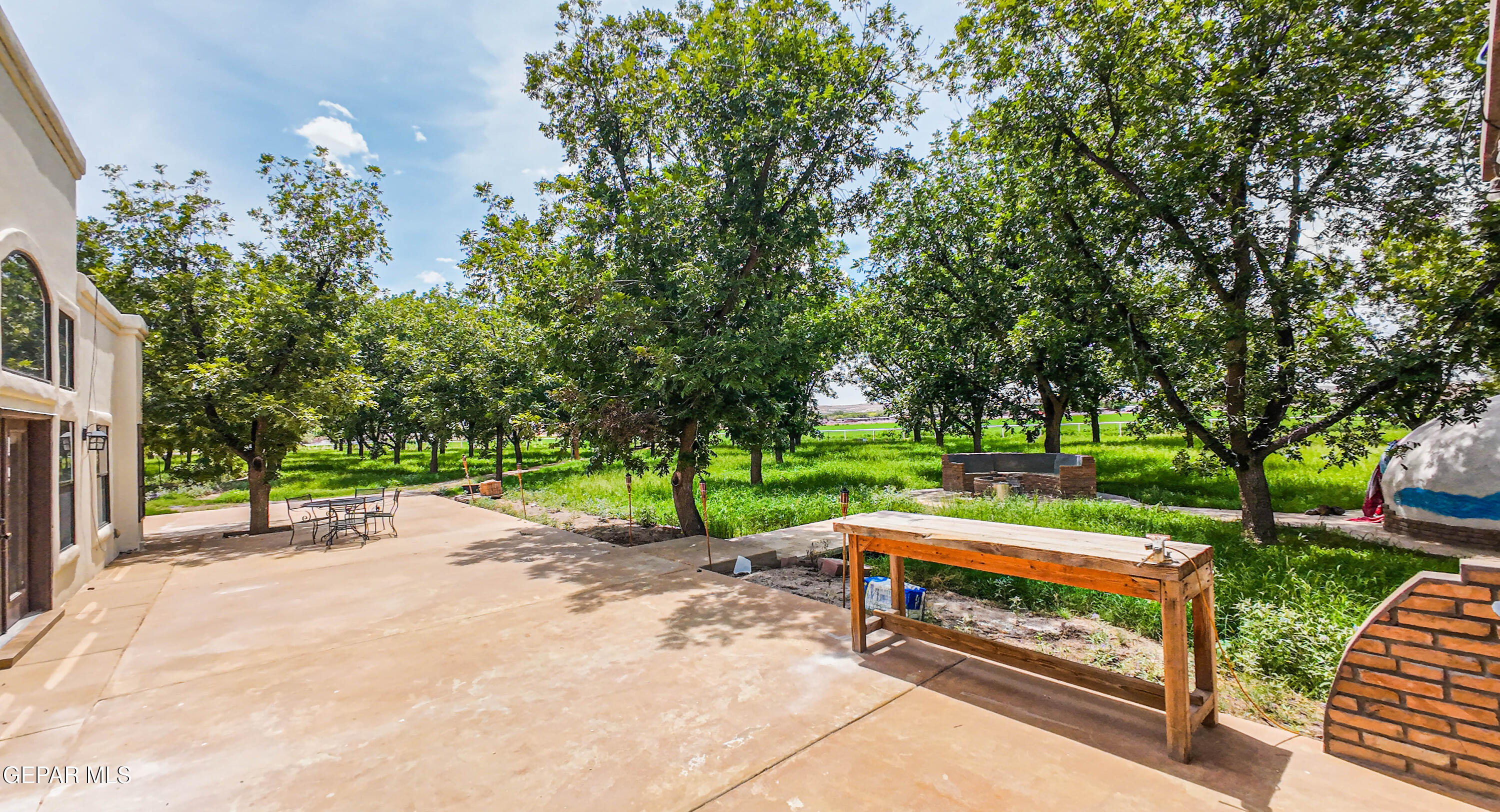 617 Wallace Road Anthony, NM 88021 - Photo 70 of 87 a park view with a bench and trees