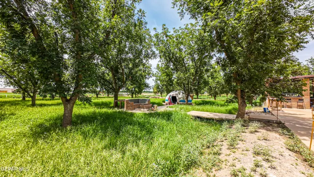 $1,150,000 | 617 Wallace Road, Anthony, NM 88021