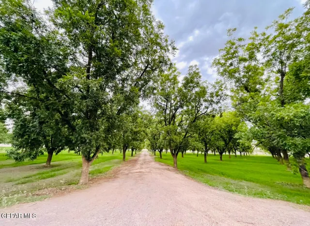 $1,150,000 | 617 Wallace Road, Anthony, NM 88021