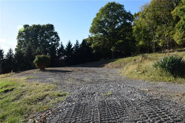 a view of backyard and trees