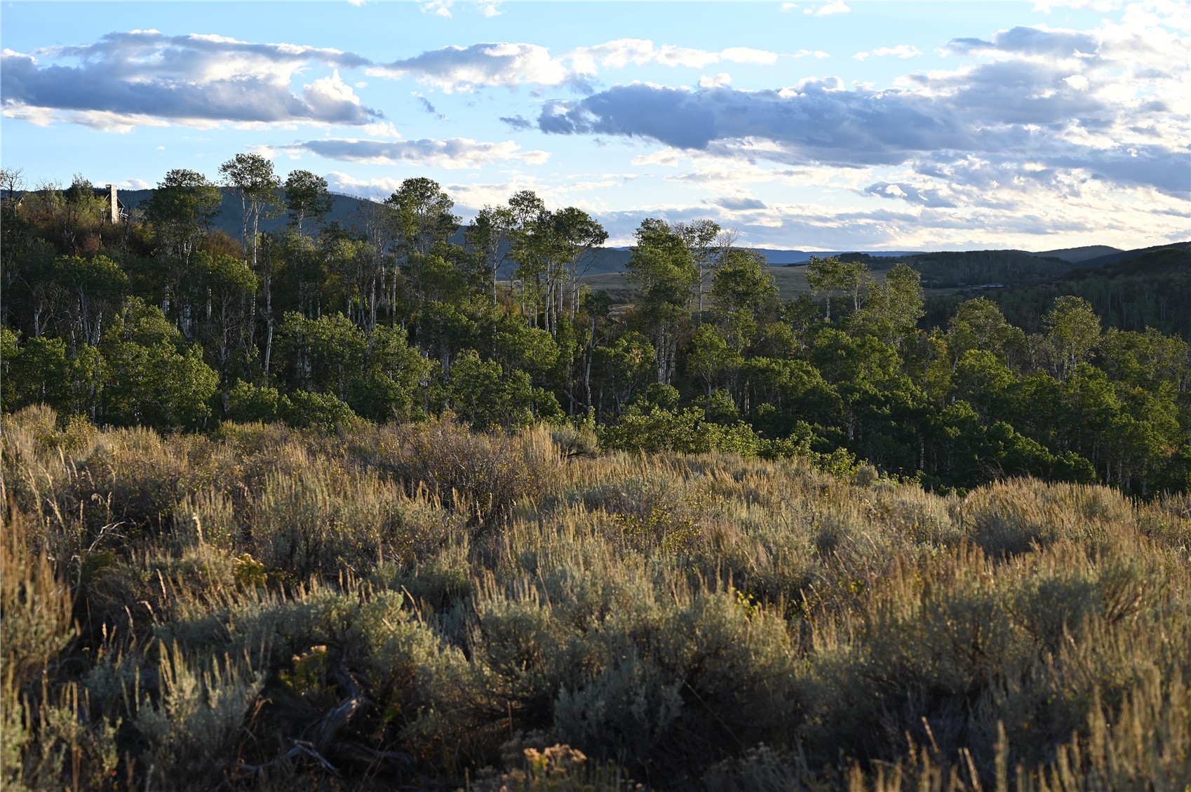 30665 Marshall Ridge Steamboat Springs, CO 80487 - Photo 13 of 14 Gallery Image 13