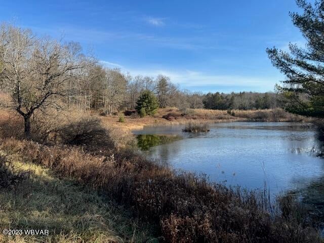 0 Moss Road Benton, PA 17814 - Photo 2 of 11 Gallery Image 2