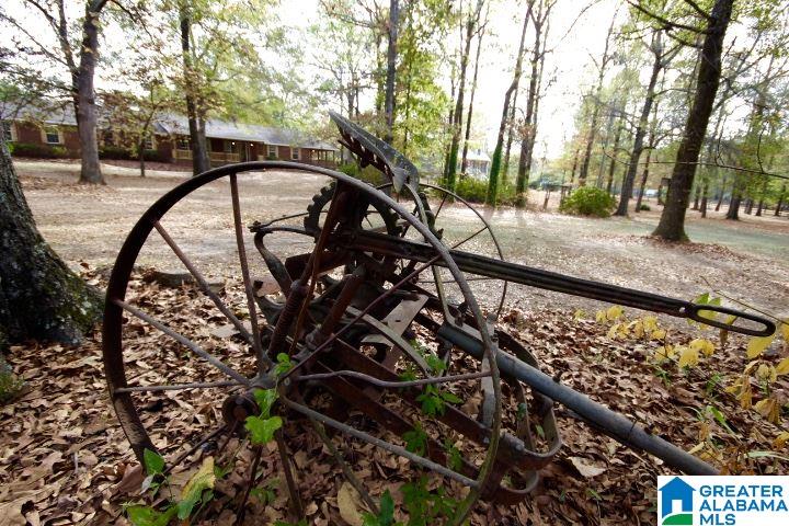 1200 Camp Branch Road Alabaster, AL 35007 - Photo 15 of 50