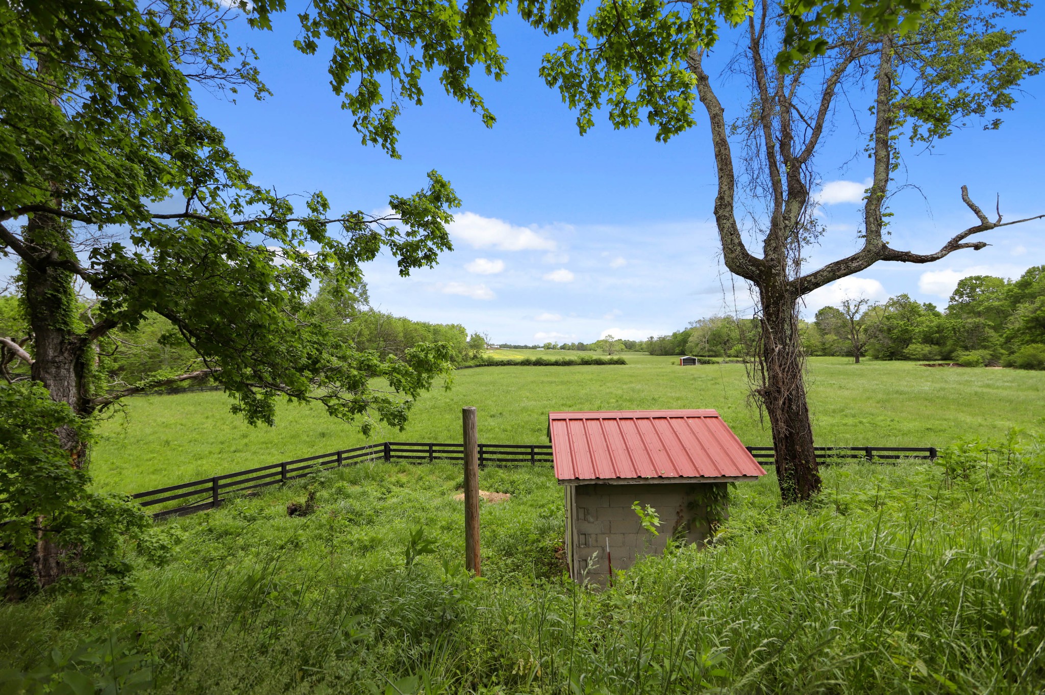 832 Jones Creek Road Dickson, TN 37055 - Photo 33 of 53 a view of an outdoor space with a lake view