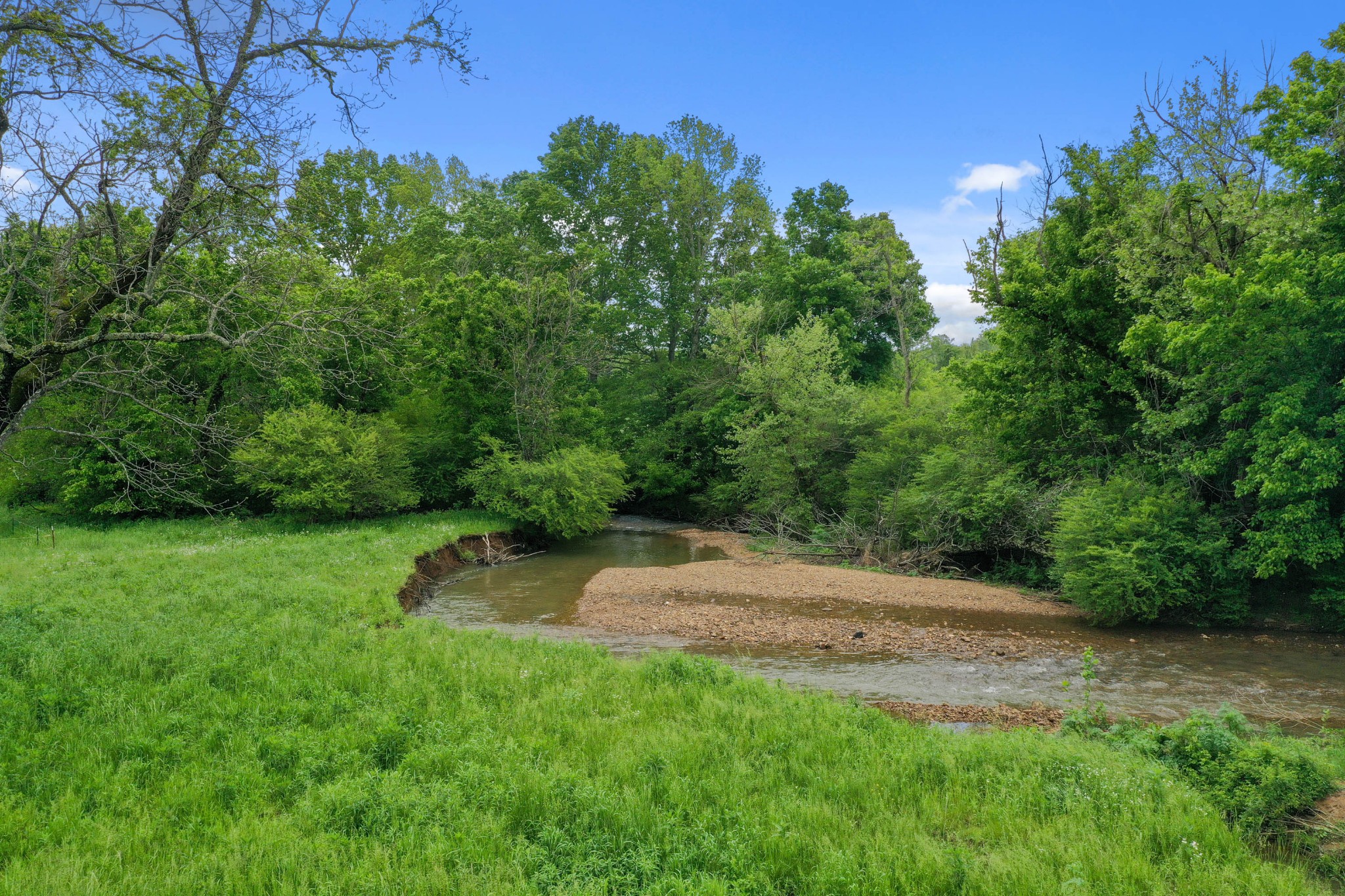 832 Jones Creek Road Dickson, TN 37055 - Photo 36 of 53 a view of green field with trees in the background