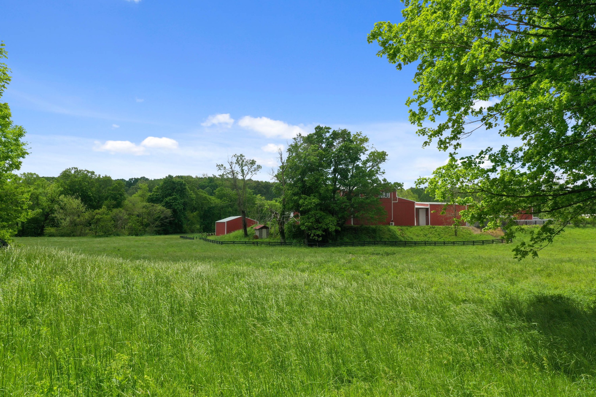832 Jones Creek Road Dickson, TN 37055 - Photo 44 of 53 a view of a backyard