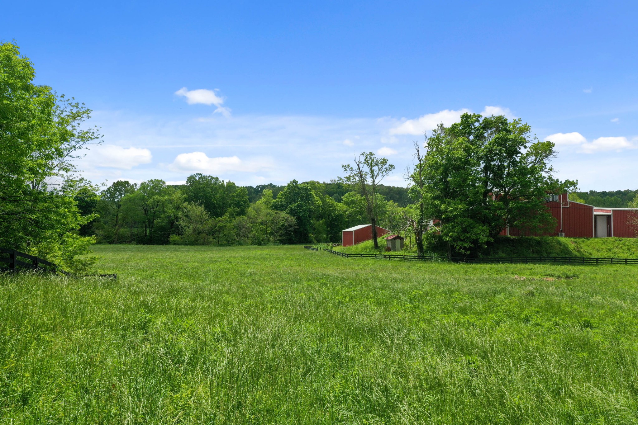 832 Jones Creek Road Dickson, TN 37055 - Photo 45 of 53 a backyard of a house with lots of green space