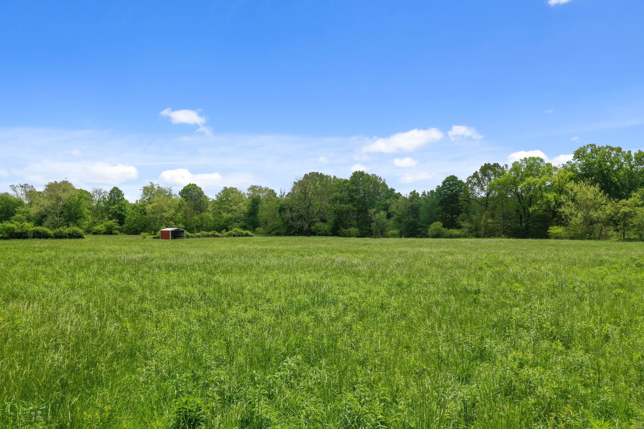 832 Jones Creek Road Dickson, TN 37055 - Photo 46 of 53 a view of field with green space