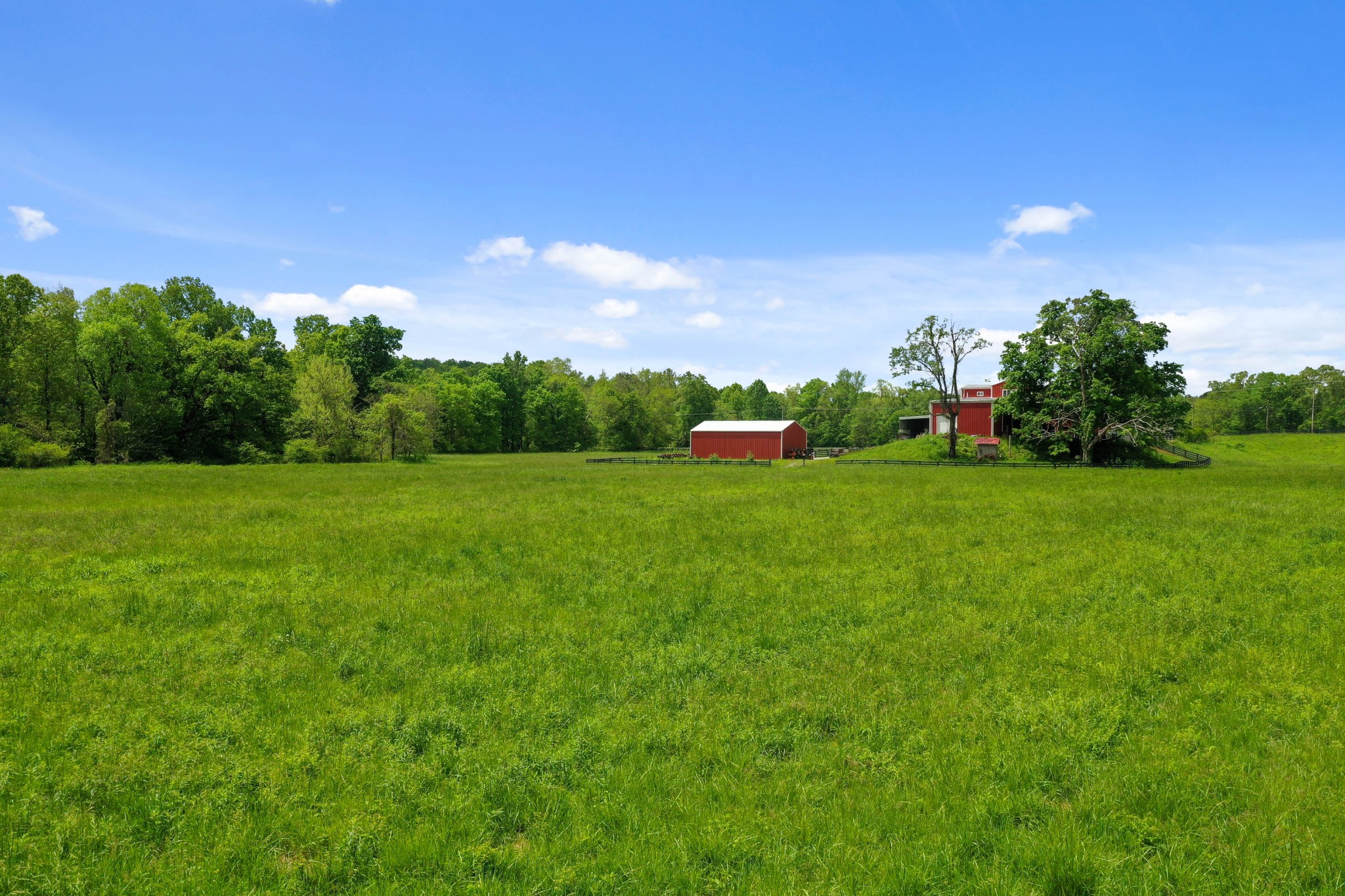 832 Jones Creek Road Dickson, TN 37055 - Photo 47 of 53 a view of a field of grass and trees