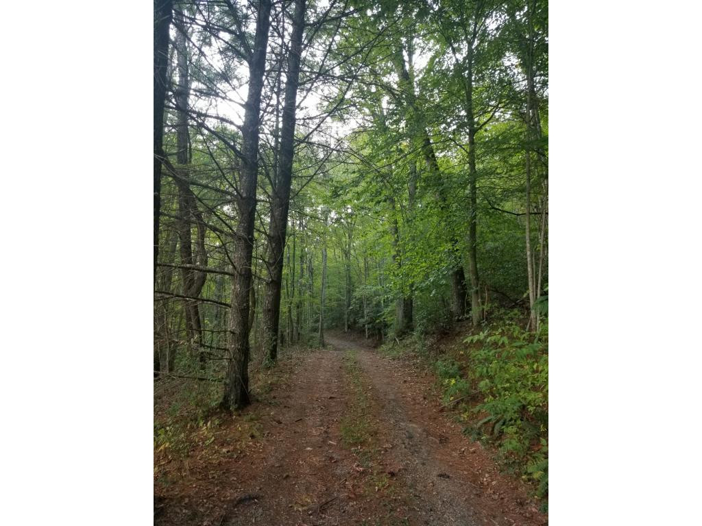 598 Browns Branch Road Hampton, TN 37658 - Photo 1 of 14 Photo 1