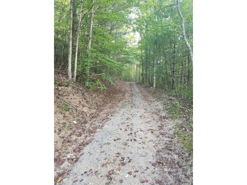 598 Browns Branch Road Hampton, TN 37658 - Photo 14 of 14 Photo 14