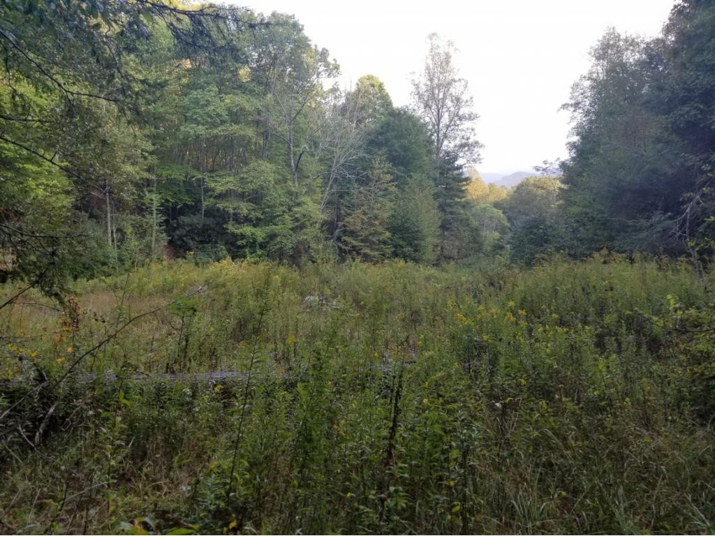 598 Browns Branch Road Hampton, TN 37658 - Photo 7 of 14 Photo 7