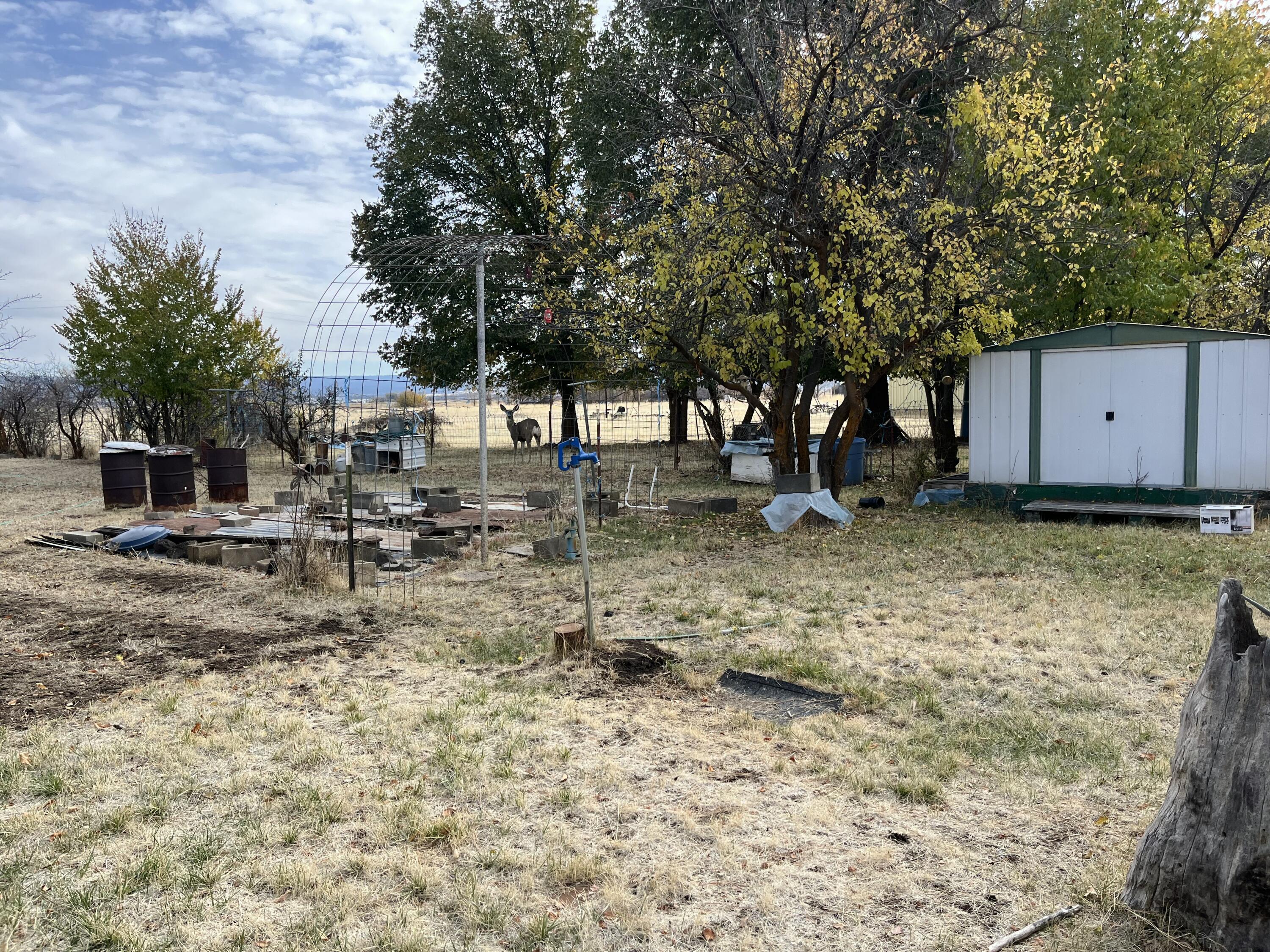 305 Punkin Center Road Bieber, CA 96009 - Photo 3 of 6 a backyard of a house with barbeque oven