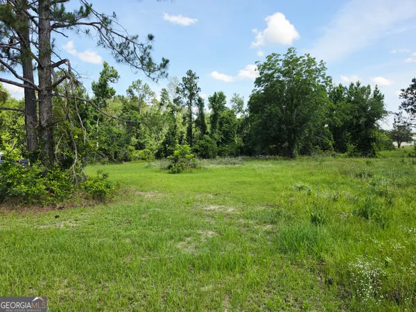 $50,000 | 0 Sawmill, Ailey, GA 30410