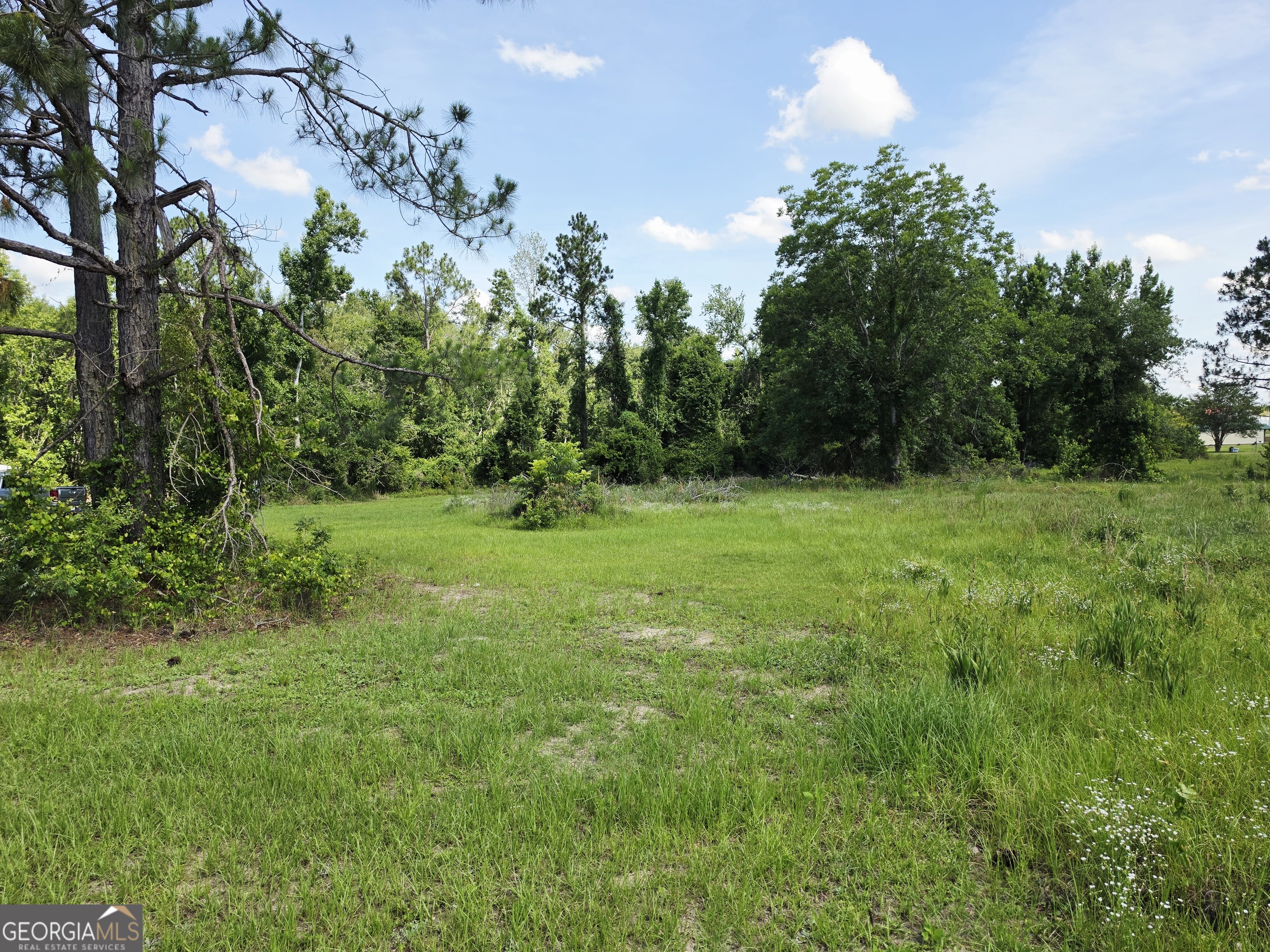 0 Sawmill Ailey, GA 30410 - Photo 1 of 1
