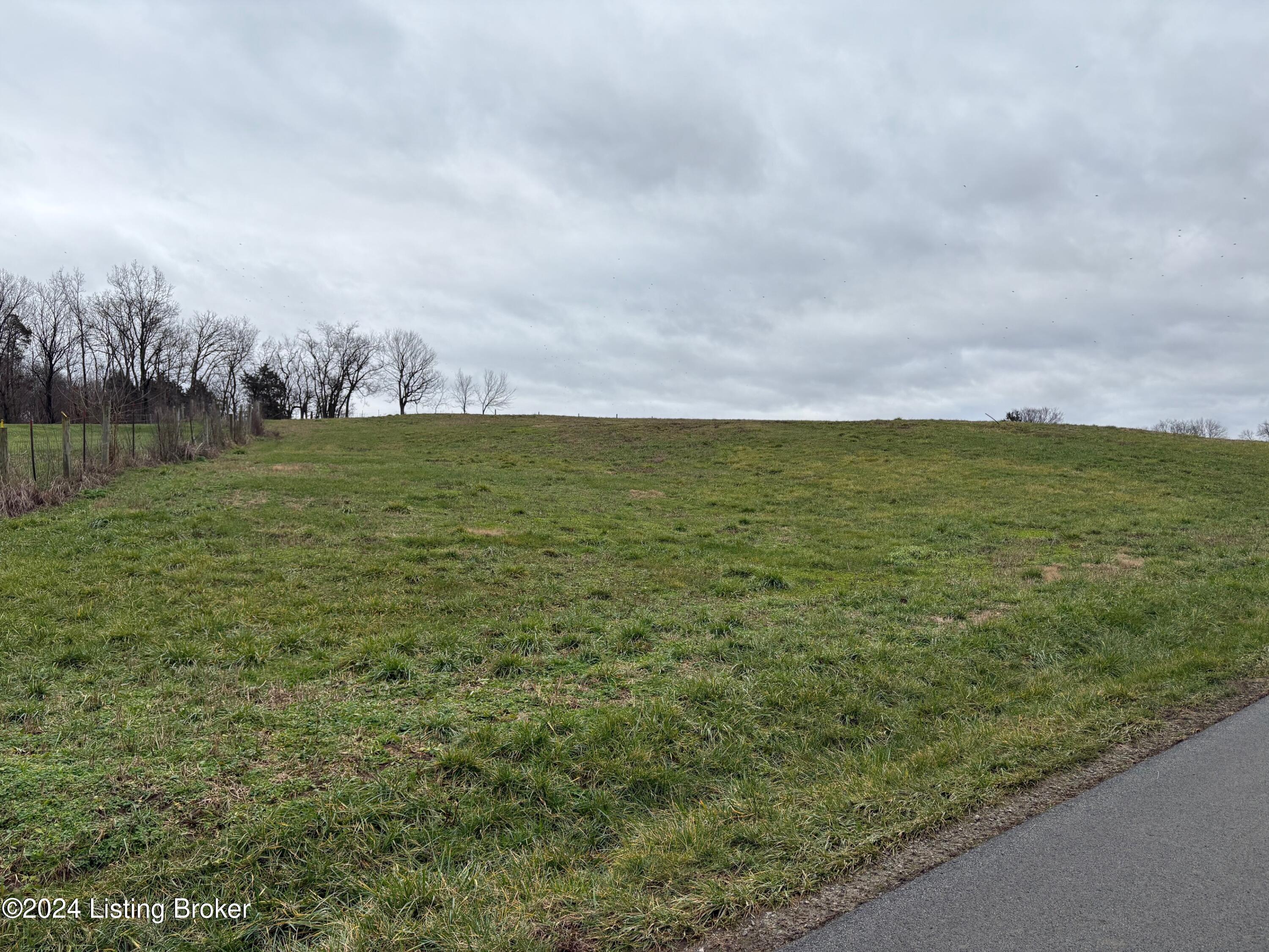 6050 Plum Run Road Bloomfield, KY 40008 - Photo 5 of 7 60506