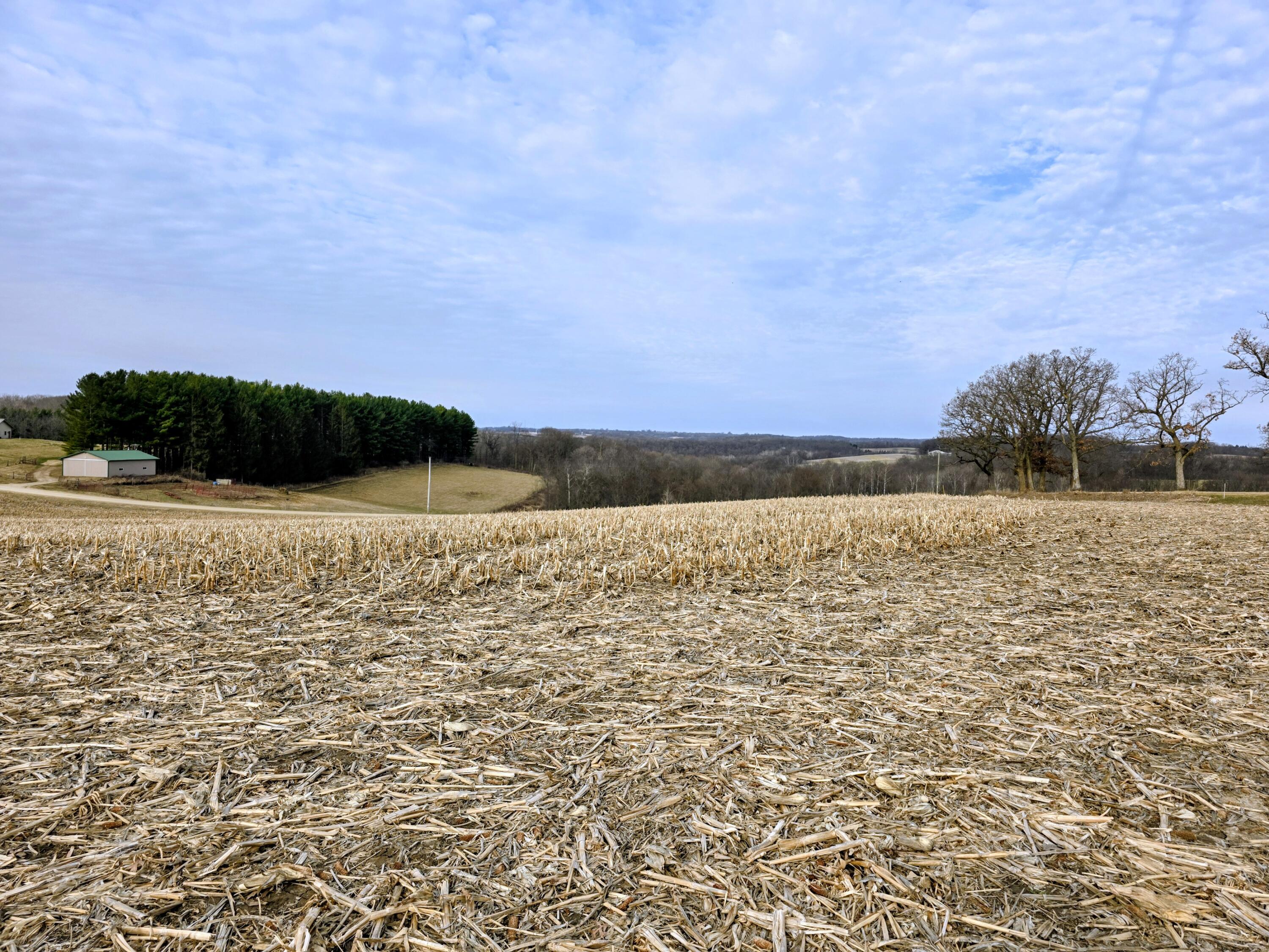 0 Stump Ridge Road Viroqua, WI 54665 - Photo 5 of 10 9770