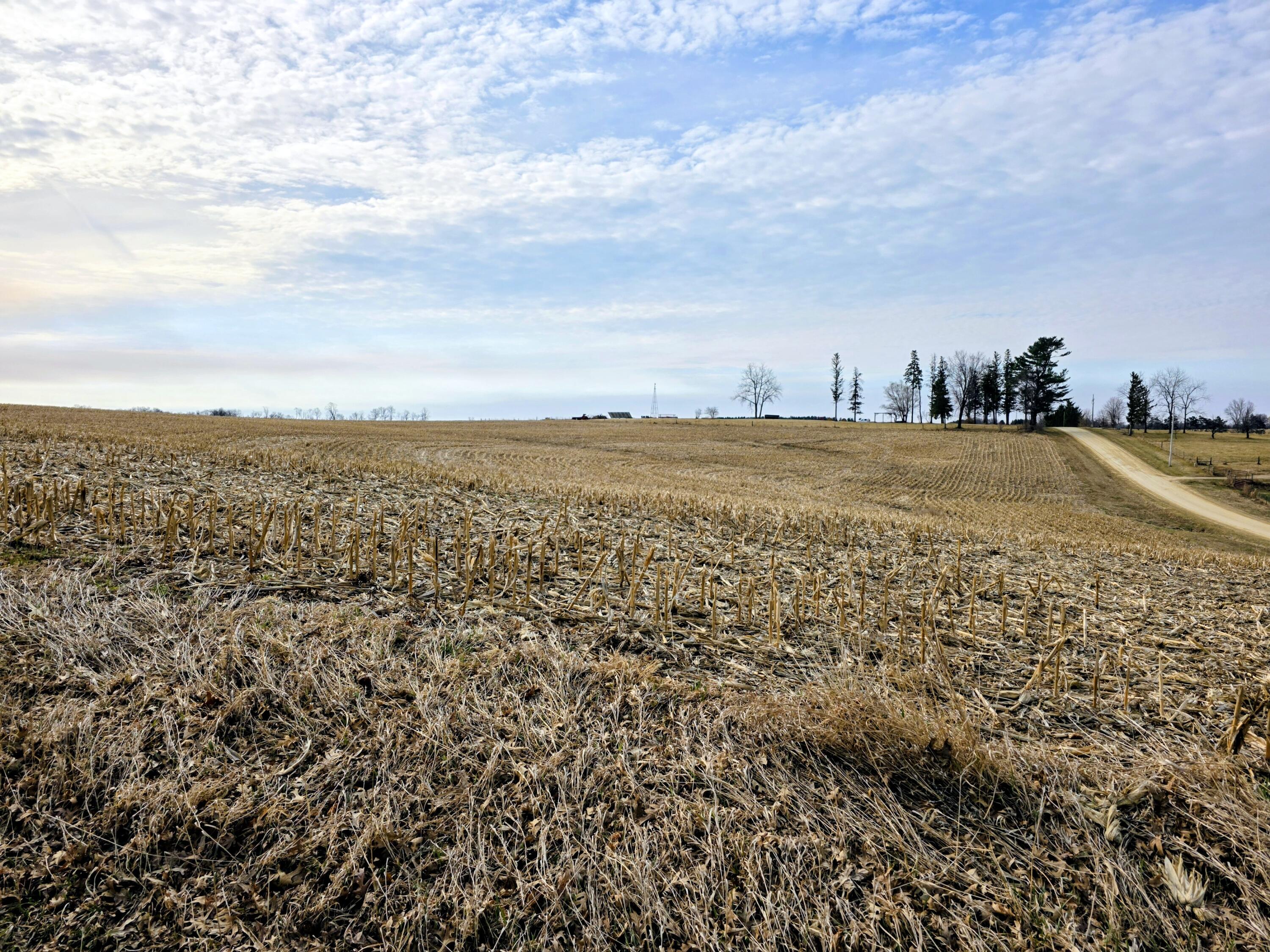 0 Stump Ridge Road Viroqua, WI 54665 - Photo 6 of 10 9765