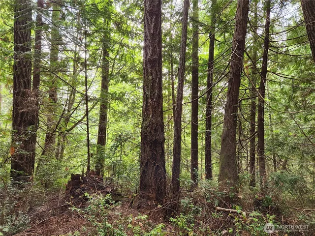 a view of outdoor space and green space