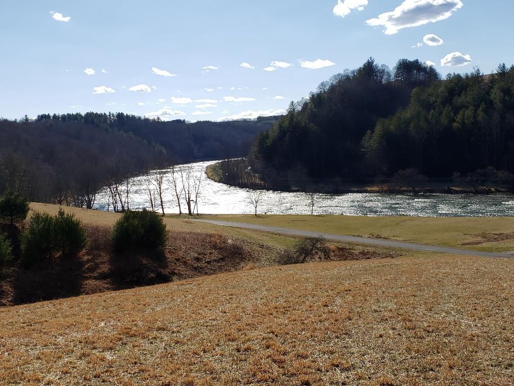 Lot # Moxley Ridge Road, Unit LOT #50 Sparta, VA 28675 - Photo 2 of 37 Gallery Image 2