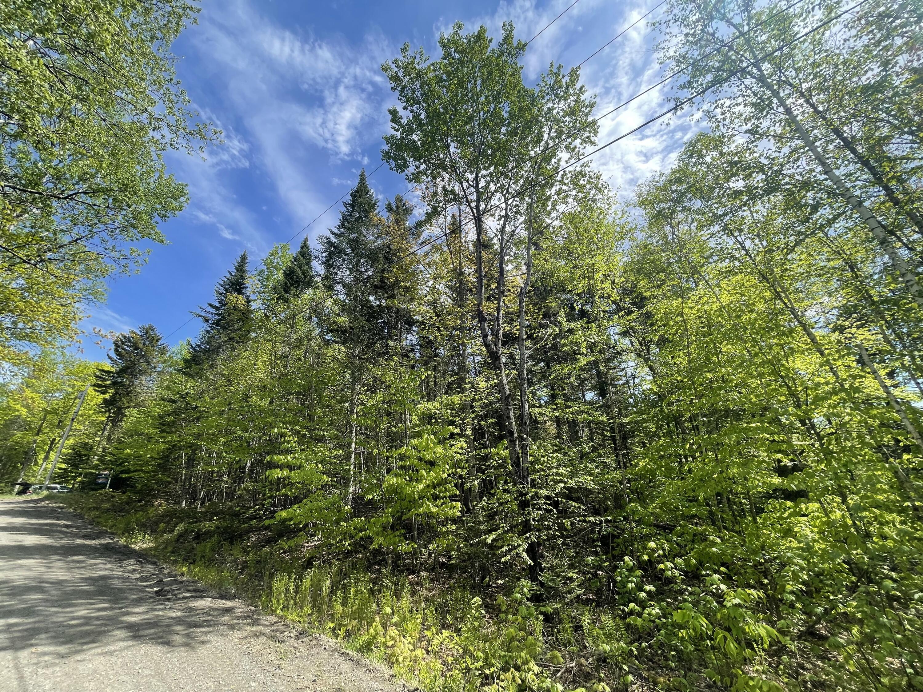 Tbd Davis Ridge Road Greenville Junction, ME 04442 - Photo 4 of 5 IMG_9103
