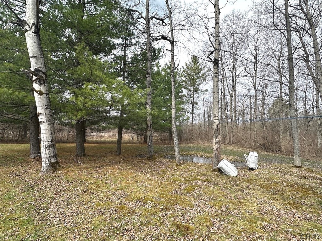9134 West Hill Road Fillmore, NY 14735 - Photo 8 of 28