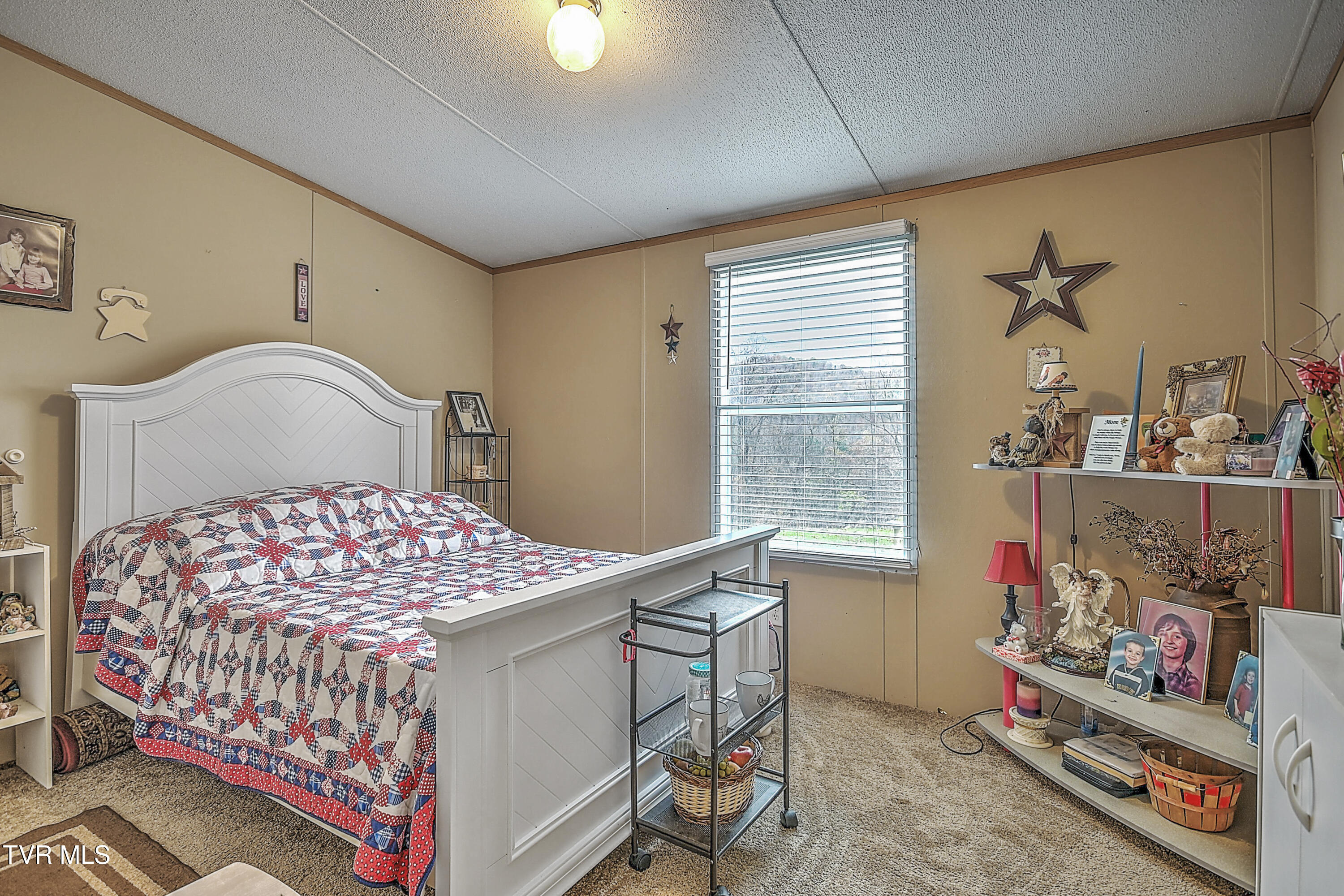 4255 Timbertree Branch Road Hiltons, VA 24258 - Photo 34 of 44 4255 Timbertree DA-25