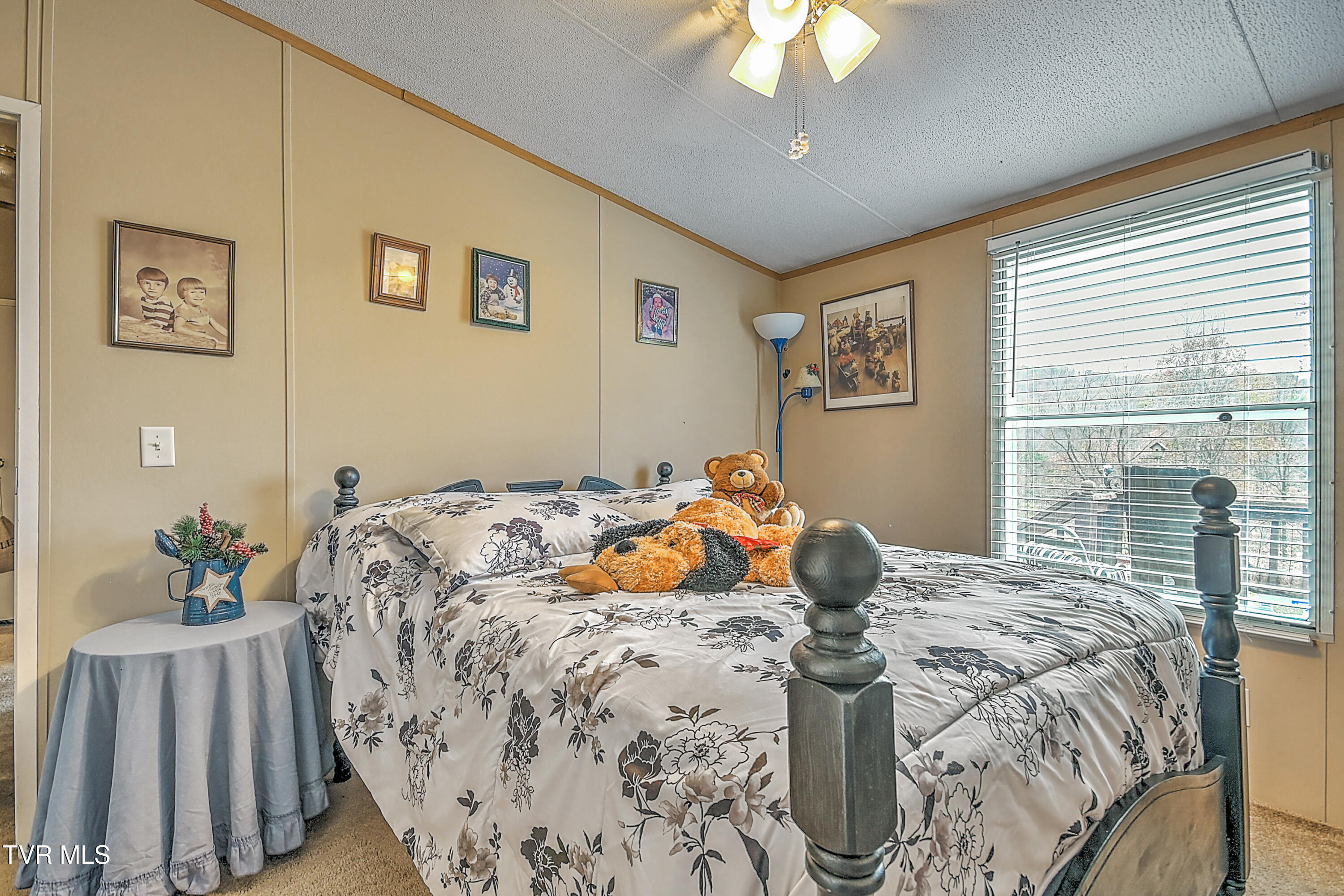 4255 Timbertree Branch Road Hiltons, VA 24258 - Photo 38 of 44 4255 Timbertree DA-30