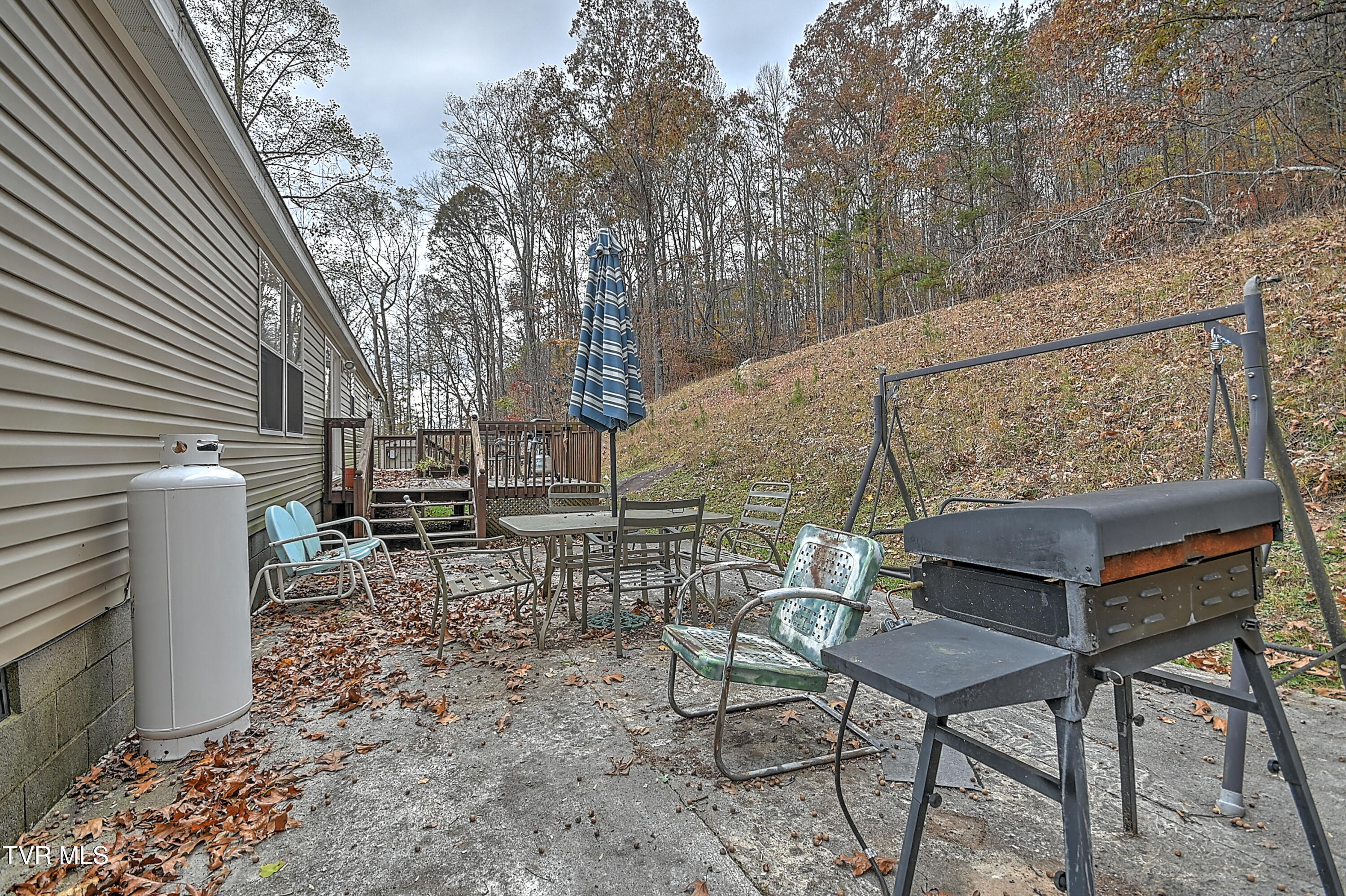 4255 Timbertree Branch Road Hiltons, VA 24258 - Photo 8 of 44 4255 Timbertree DA-39