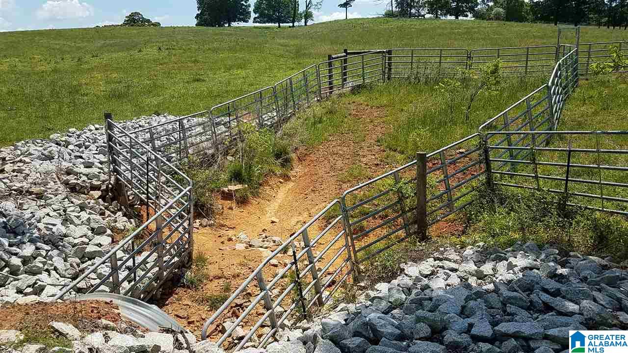 31 County Road Ashland, AL 36251 - Photo 18 of 38