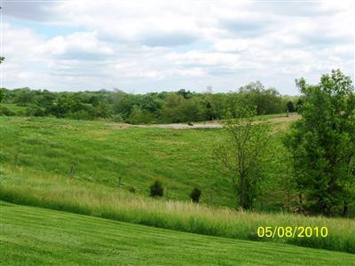 820 Buffalo Trace Road Carlisle, KY 40311 - Photo 6 of 25 Photo 6