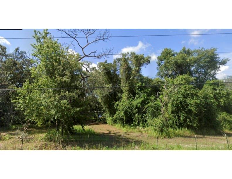 15542 Peace Boulevard Spring Hill, FL 34610 - Photo 2 of 3 a picture of a yard