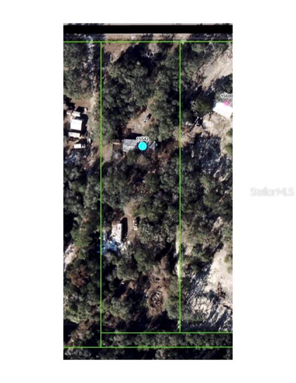 15542 Peace Boulevard Spring Hill, FL 34610 - Photo 3 of 3