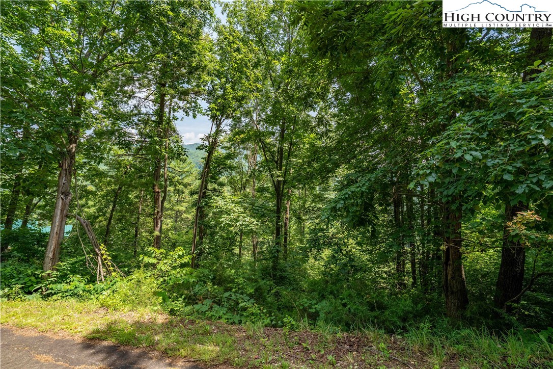 Lot 5 Lake Ridge Butler, TN 37640 - Photo 23 of 24
