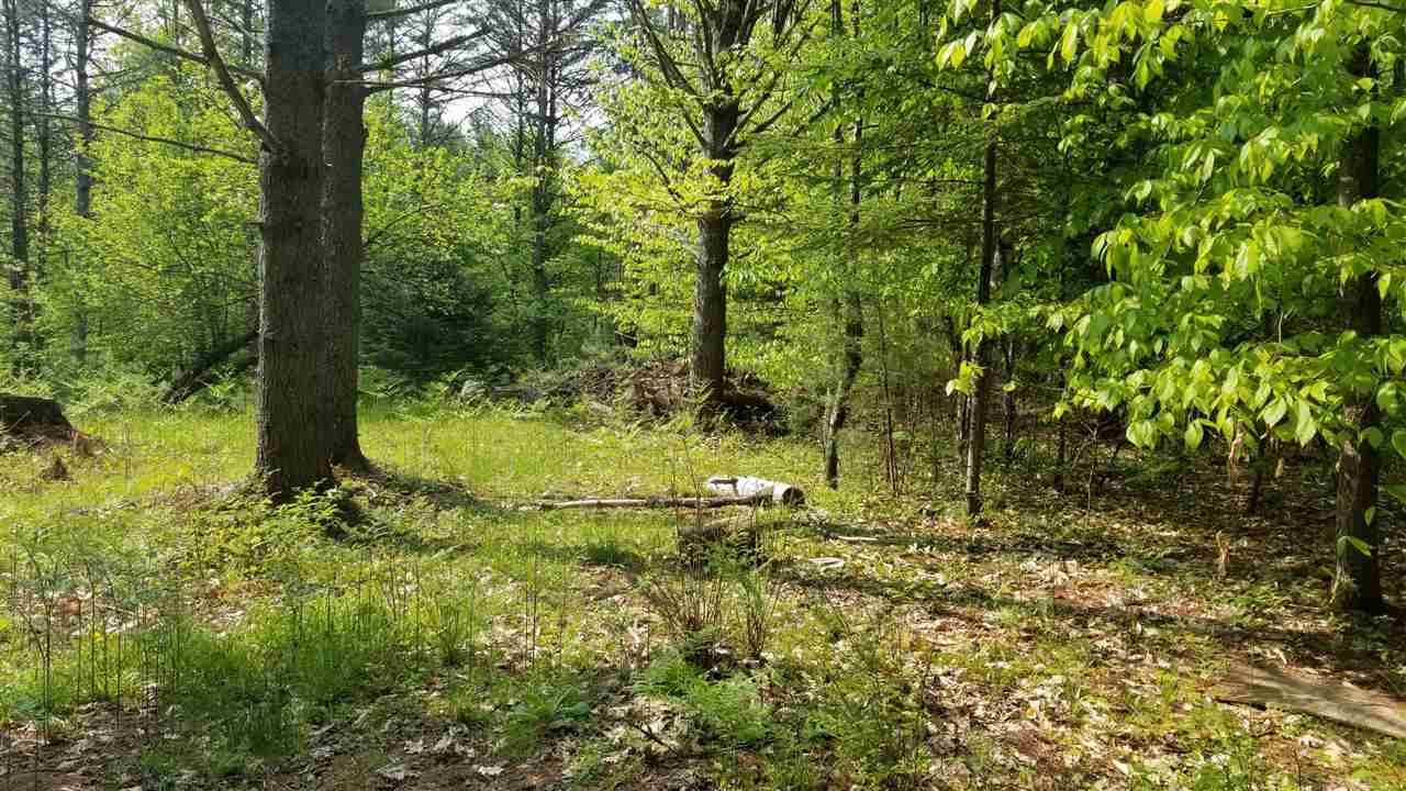 0 Ridge Road, Unit 77 Lyman, NH 03585 - Photo 1 of 28