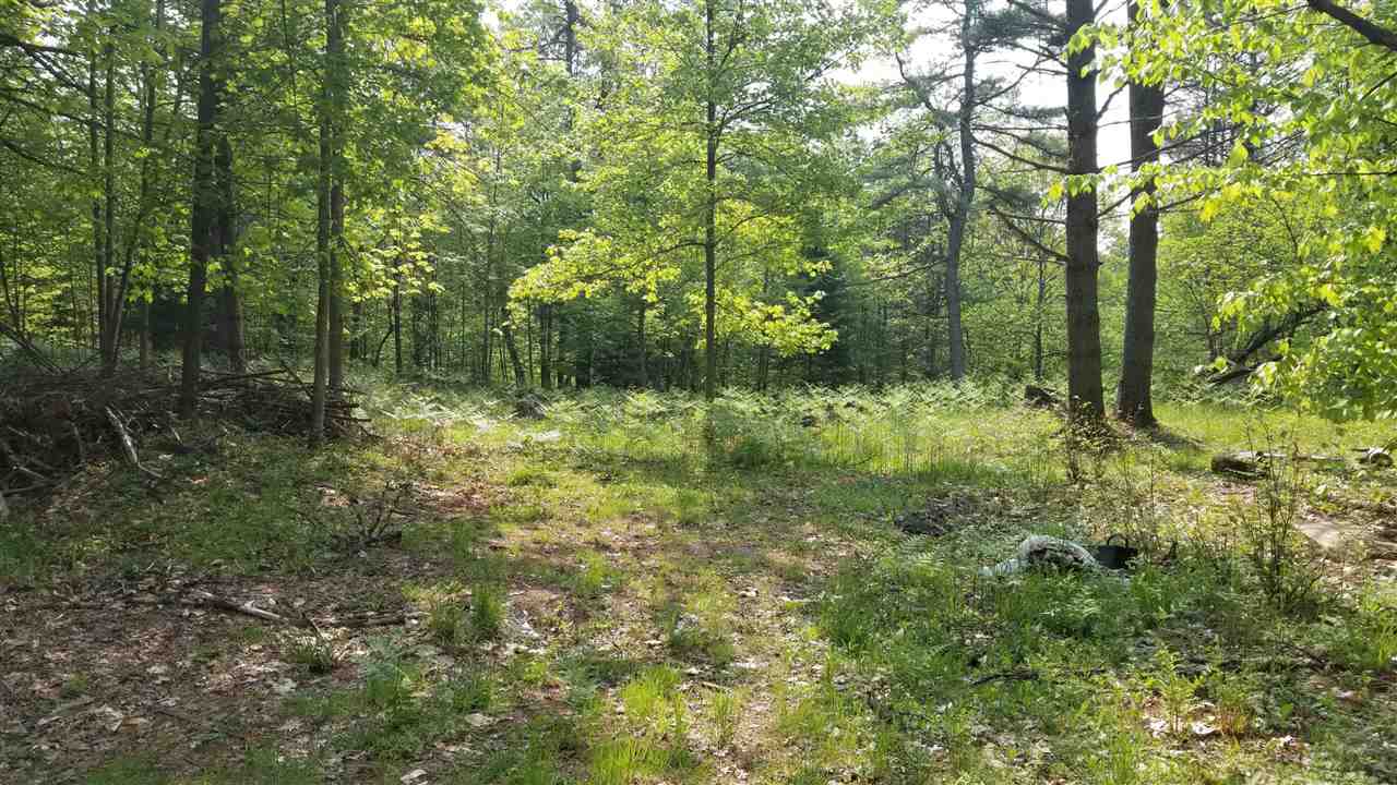 0 Ridge Road, Unit 77 Lyman, NH 03585 - Photo 2 of 28